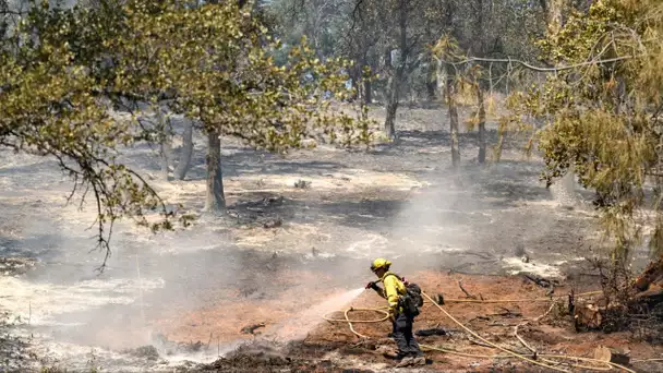 Les incendies se répandent en Californie touchée par une vague de chaleur