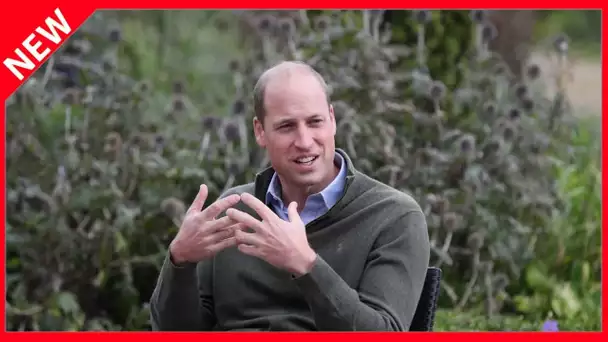 ✅  « Une année difficile » : le prince William signe un texte émouvant