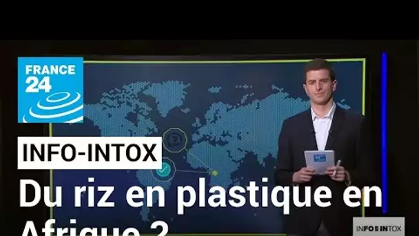 Du riz en plastique en Afrique ? • FRANCE 24