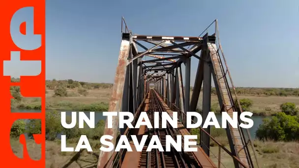 La ligne Tanzanie-Zambie | Danger sur les rails | ARTE
