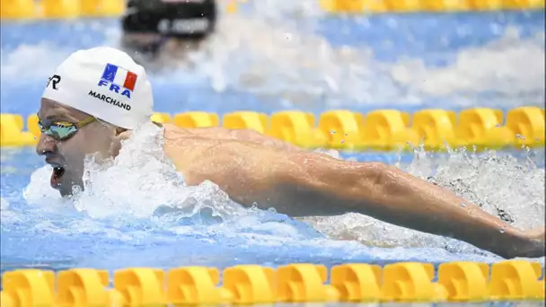 Un troisième sacre mondiale pour Léon Marchand, une médaille de bronze pour la France aux mondiau…