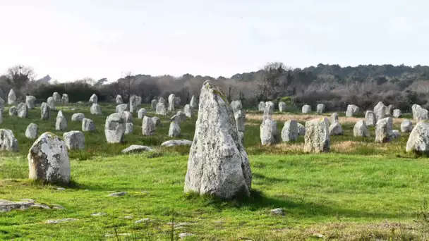 Carnage à Carnac : «Tout ça pour ça !»