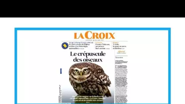 Biodiversité: "Le crépuscule des oiseaux"