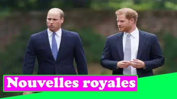 Le dévoilement de la statue de Diana est doux-amer alors que William et Harry mettent leurs différen