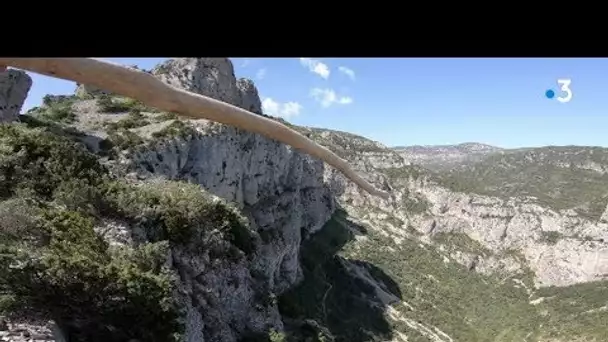 Saint-Guilhem-le-Désert (34) : Zinzin reporter au Cirque de l’Infernet