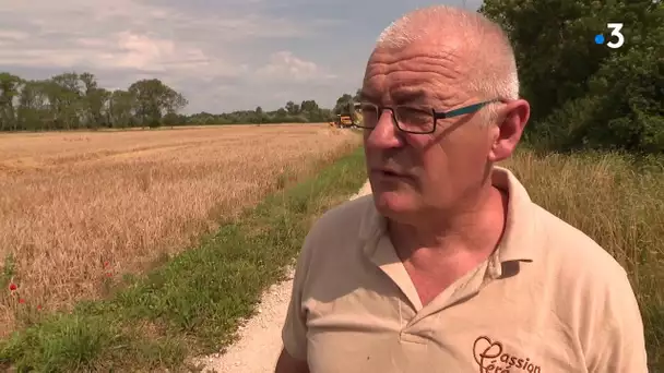 Le temps des moissons à Mont-sous-Vaudrey