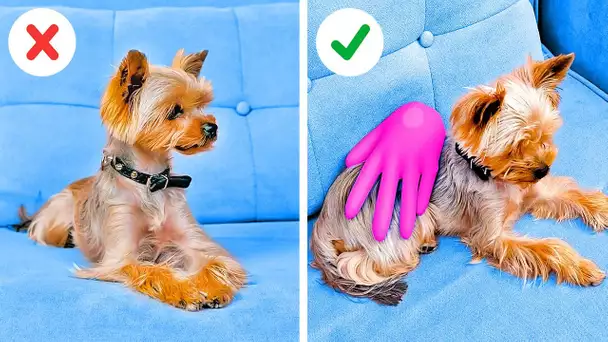 Astuces et Gadgets Inestimables Pour Les Propriétaires de Chiens