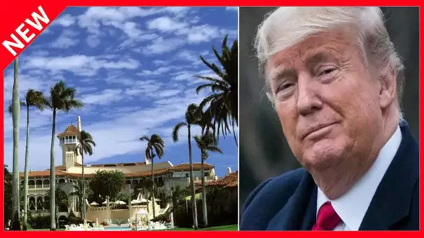 ✅  Donald Trump : à Mar-a-Lago, l'ancien président a les oreilles qui sifflent