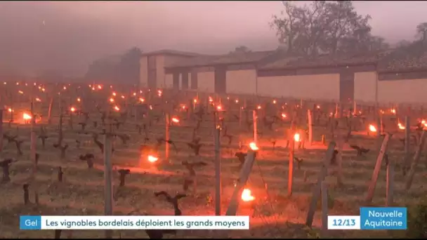 Nuit blanche pour lutter contre le gel dans le vignoble de Saint-Émilion