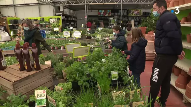 Les jardineries et les jardins ouvriers ouverts pour le 3ème confinement.