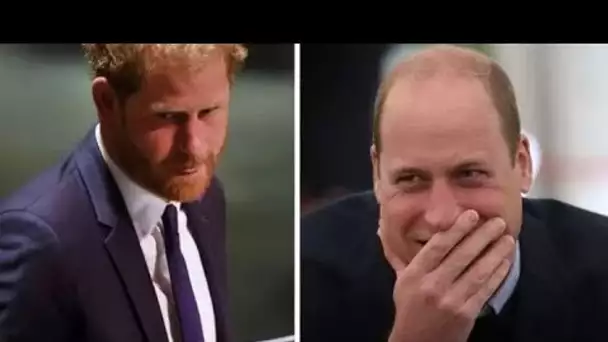 Le prince Harry se dispute alors que Duke est @ccusé d'avoir copié et collé le discours du prince