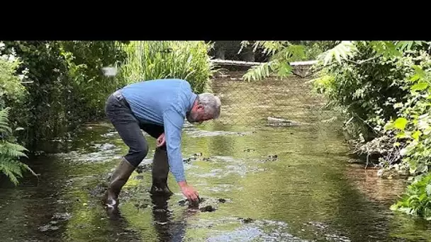 L'eau de Volvic, une denrée convoitée et de plus en plus rare