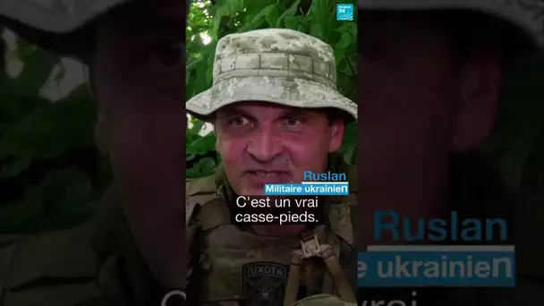 Mavic, le corbeau domestique qui accompagne les soldats ukrainiens  • FRANCE 24