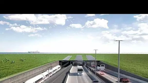 Fehmarn Belt : les avantages du plus long tunnel immergé justifient-ils son impact …