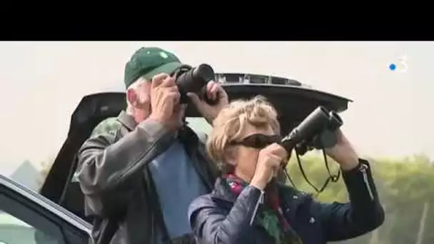 Traversée de la Manche en paramoteur