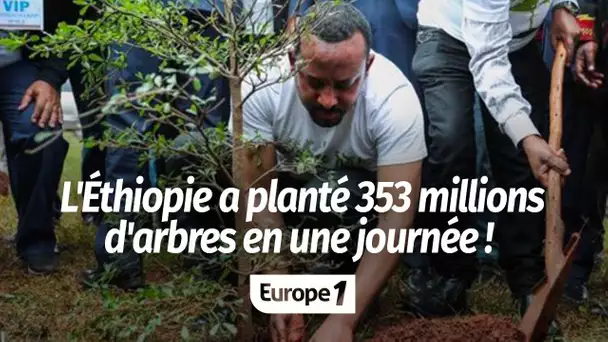 L'Éthiopie a planté 353 millions d'arbres en une journée !