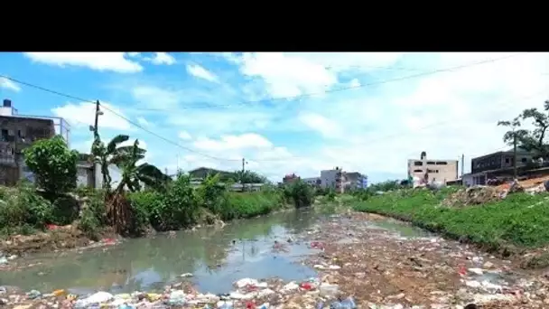 Cameroun : les start-up s'attaquent au recyclage des déchets plastiques • FRANCE 24