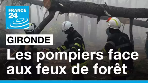 Comment les pompiers combattent les feux de forêt en Gironde ? • FRANCE 24