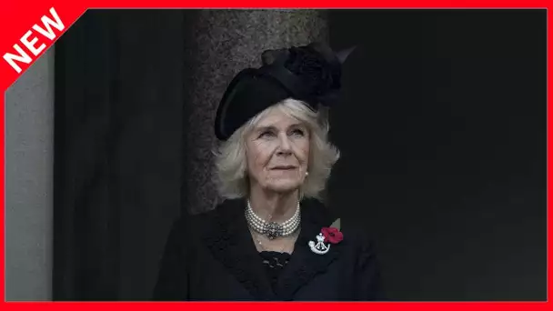 ✅  Camilla Parker-Bowles : ces tombereaux d'insultes qu'elle n'avait pas vu venir