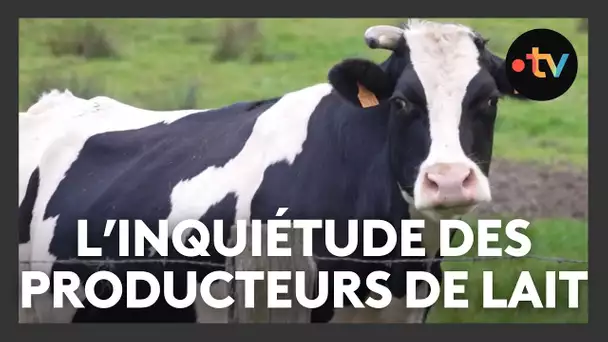 Agriculture : les producteurs de lait sont inquiets, "on ne sait pas à quelle sauce on sera mangés"