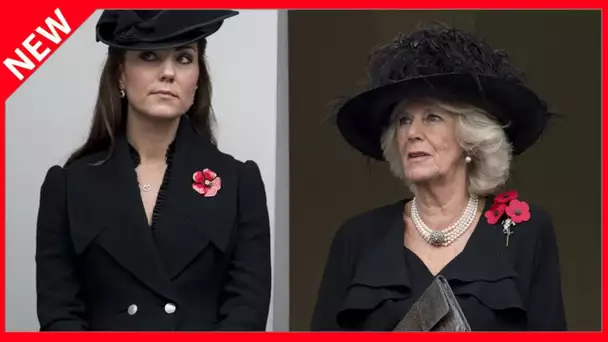 ✅  Obsèques du prince Philip : pourquoi Kate Middleton et Camilla sont reléguées au second plan ?