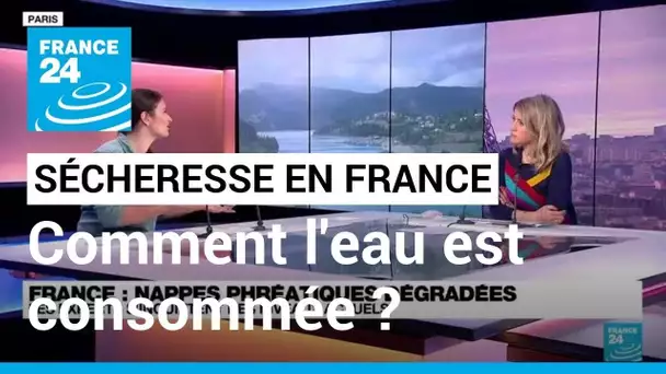 Agriculture, centrales nucléaires… Comment l'eau est consommée en France • FRANCE 24