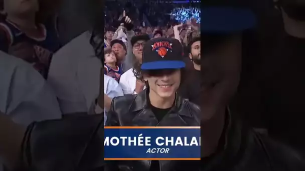 Timothee Chalamet was front & center for Game 4 at MSG | #Shorts