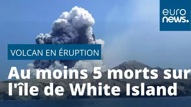 Nouvelle-Zélande : des touristes marchent sur un volcan mais il entre en éruption, 5 morts