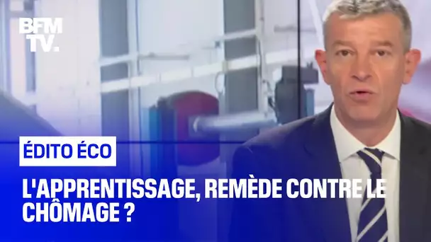 L'apprentissage, remède contre le chômage ?