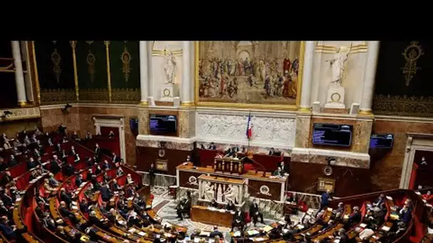 Projet de loi climat : l'Assemblée nationale passe au vote