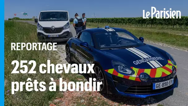 À bord de l'Alpine A110 de la gendarmerie, qui traque les chauffards en excès de vitesse