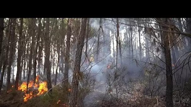 Pompiers et climatologues veulent devancer les feux de forêt grâce à l'intelligence artificielle