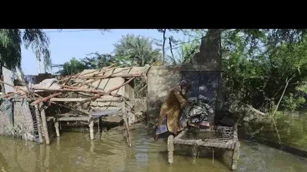 Inondations meurtrières au Pakistan : au moins 1061 personnes ont été tuées depuis juin