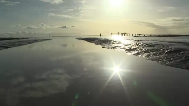 Balade sur l'estuaire de la Gironde à Barzan