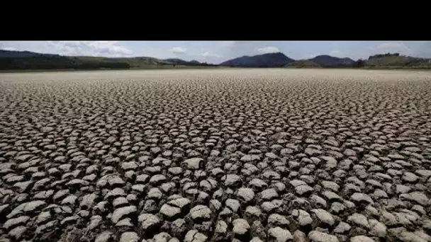 Le congrès mondial de la nature s'ouvre à Marseille