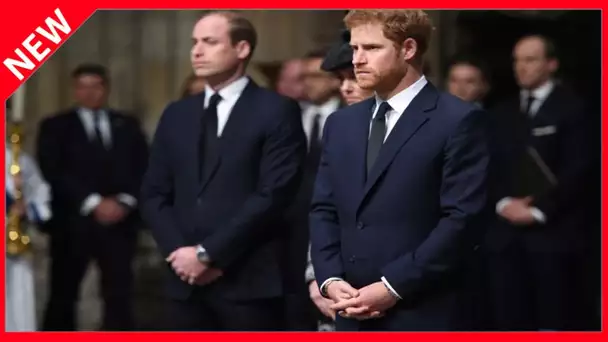 ✅  Harry et William ne se verront pas avant les funérailles du prince Philip