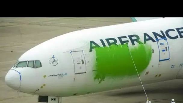 Un avion d'Air France repeint en vert par des militants de Greenpeace