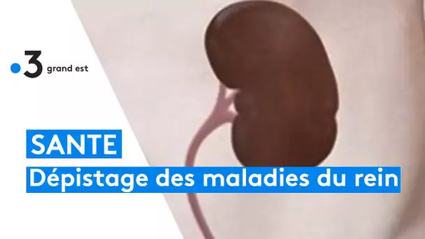 Dépistage gratuit des maladies du rein