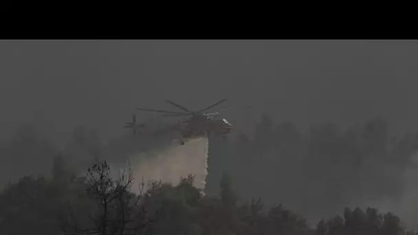 Incendies : l'île d'Eubée part en fumée, 650 pompiers impuissants face aux flammes