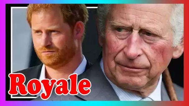 Le prince Harry va créer une situ@tion «embarrassante» pour le prince Charles: «Dreading son livre»