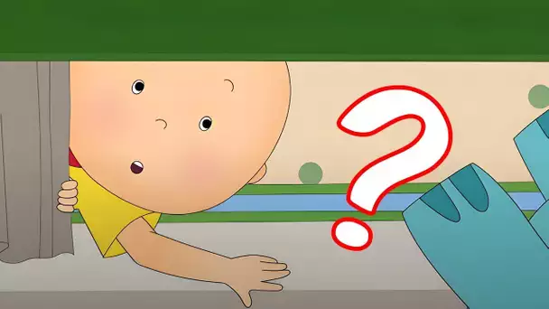 Je ne trouve pas Gilbert | Caillou en Français | WildBrain Enfants