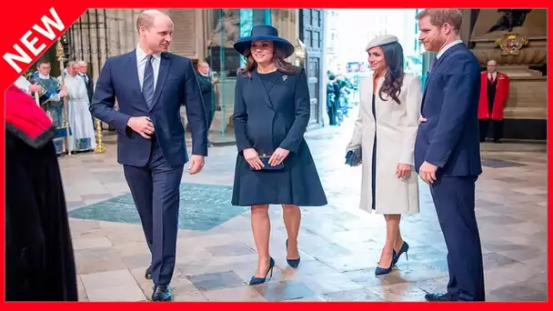 ✅  Kate Middleton insultée : cet appel de Meghan et Harry qui ne passe pas