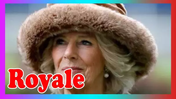 Camilla partage un plaidoyer déchirant pour les victimes de violence domestique