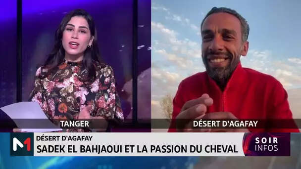 Marrakech : "Danse avec les chevaux", un show équestre aux influences arabes et berbères