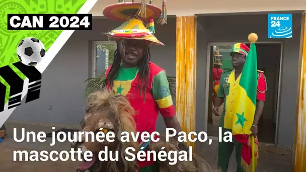 CAN 2024 : une journée avec Paco, la mascotte des équipes du Sénégal • FRANCE 24