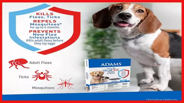 Adams Flea & Tick Collar Plus for Dogs & Puppies, 6-Month Protection, One Size Fits All Dogs