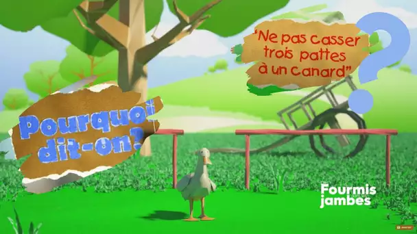 Pourquoi dit-on : ne pas casser trois pattes à un canard !