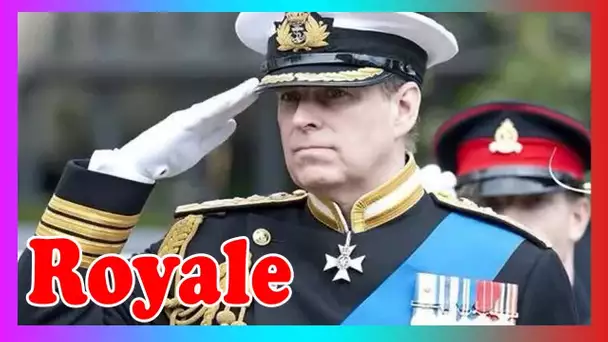 Indignation de la Royal Navy alors qu'Andrew s'accroche au statut de vice-amiral