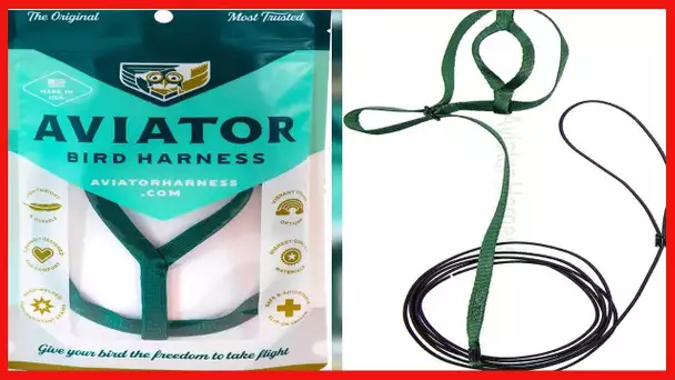 The AVIATOR Pet Bird Harness and Leash: Petite Green