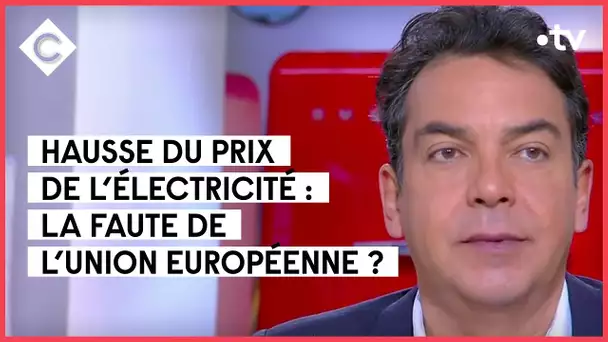 Prix de l’électricité : l’usine à gaz - C à vous - 14/01/2022